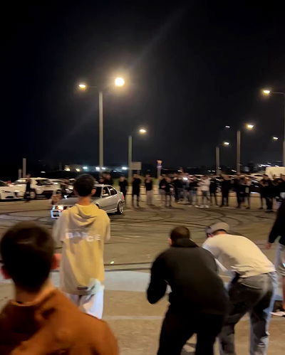 simp_for_cats_ simp_for_cats_ archive video