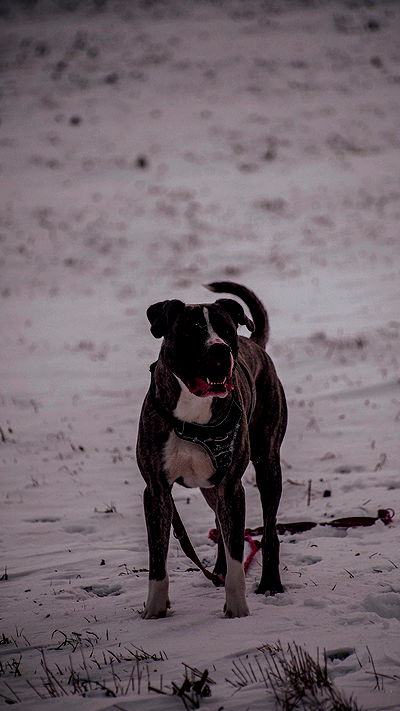 sina.njck sina.njck archive video