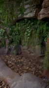 zoe.glover Altpins Profile Picture