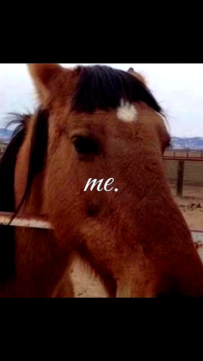 avital_1010.2003 avital_1010.2003 archive video