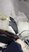 alina_mtsn Altpins Profile Picture