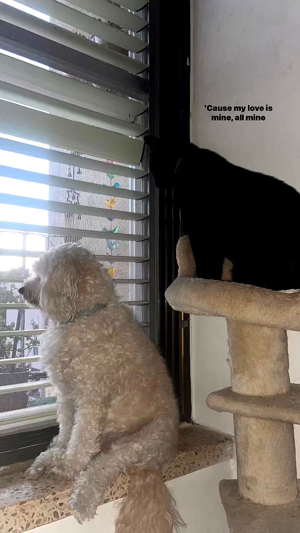 feelbetterinmysweater archive video preview