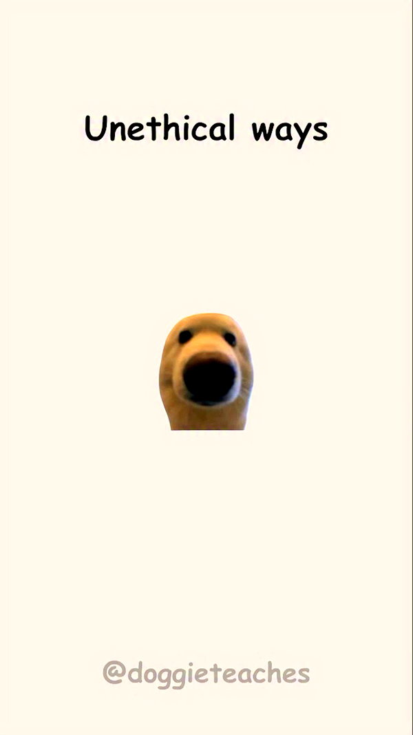 doggieteaches archive video preview