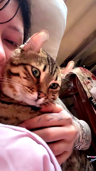 laurinchhhe laurinchhhe archive video