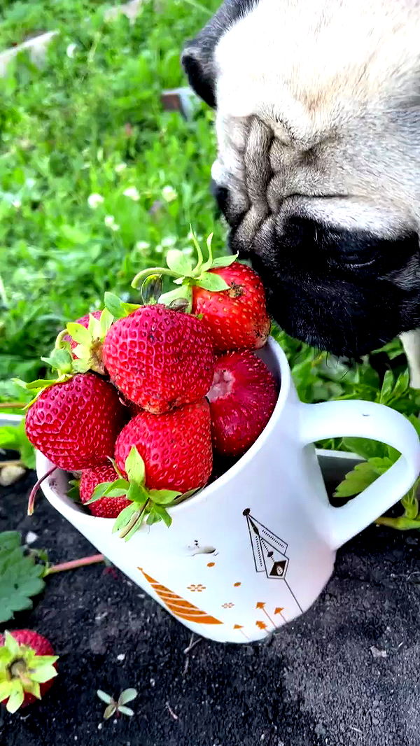 nyityam archive video preview