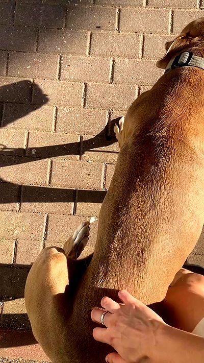 feelbetterinmysweater feelbetterinmysweater archive video