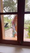 milkimind Altpins Profile Picture