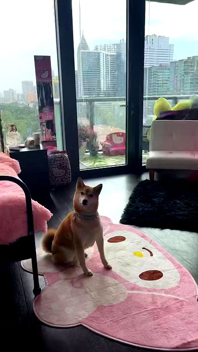 zommmbri zommmbri archive video