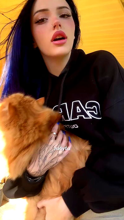 annfigma annfigma archive video