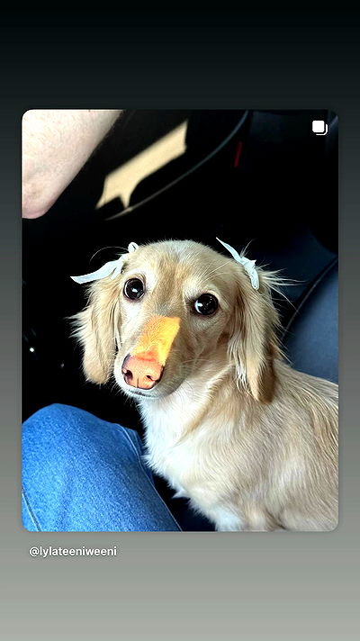 _._dianush._ _._dianush._ archive video