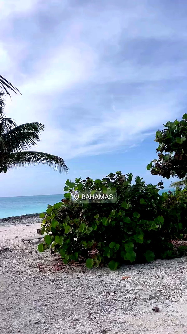 lihi.stoller archive video preview