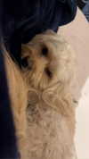 hadas_mayer_ Altpins Profile Picture