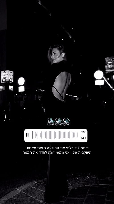 justlerman justlerman archive video