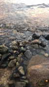 greta.m_ Altpins Profile Picture