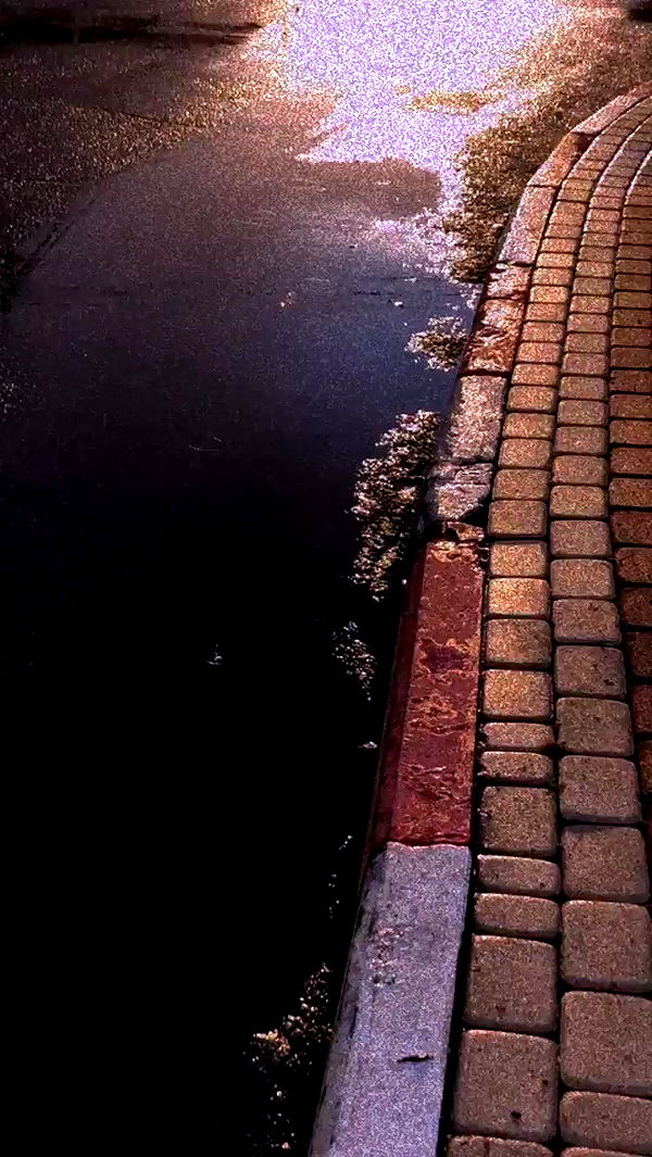 feelbetterinmysweater archive video preview