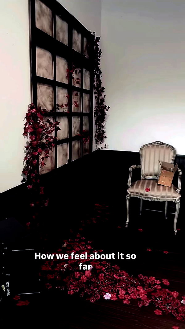 saekkico archive video preview