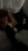 sydney_melman Altpins Profile Picture