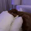 madisonbeer Altpins Profile Picture