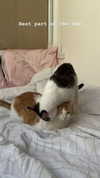 roni_ackerman Altpins Profile Picture