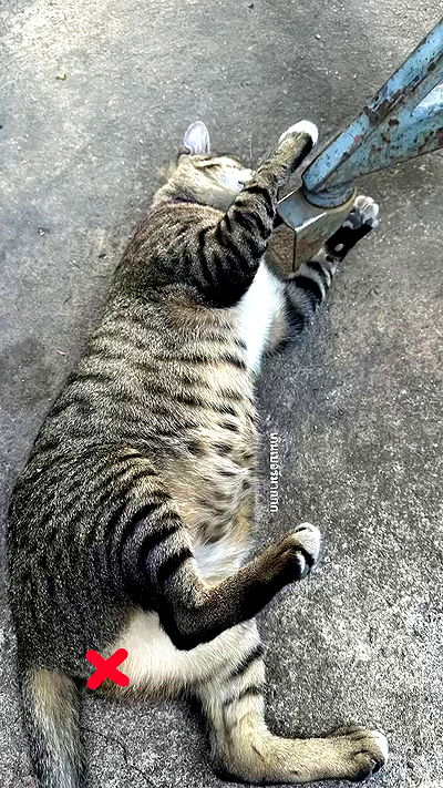 oqr0_ oqr0_ archive video