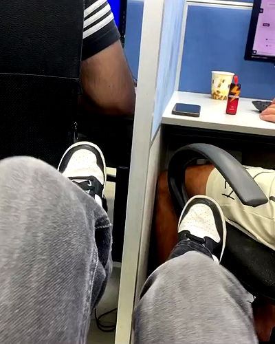 tuliprivet tuliprivet archive video