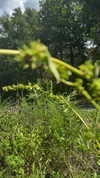 sarah.anne.dipity Altpins Profile Picture