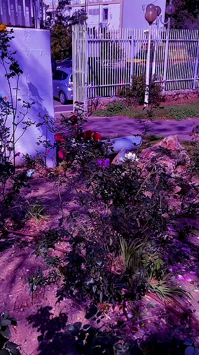 feelbetterinmysweater feelbetterinmysweater archive video