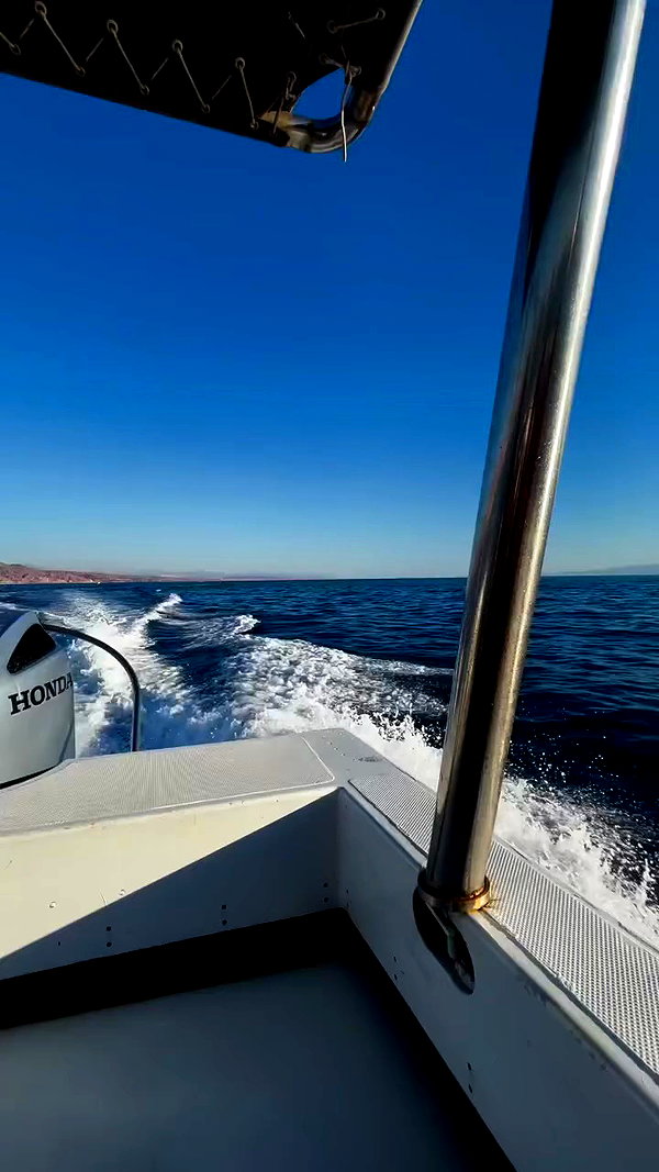amit.yaron archive video preview