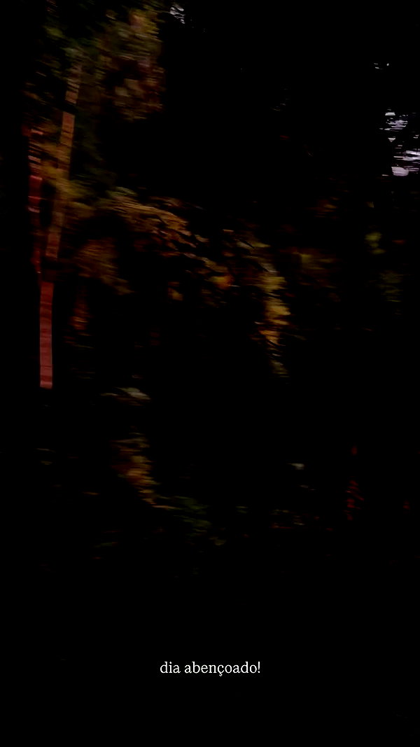 eusandyyh archive video preview