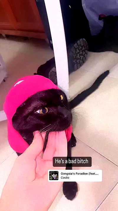 rebecka_tsadok rebecka_tsadok archive video