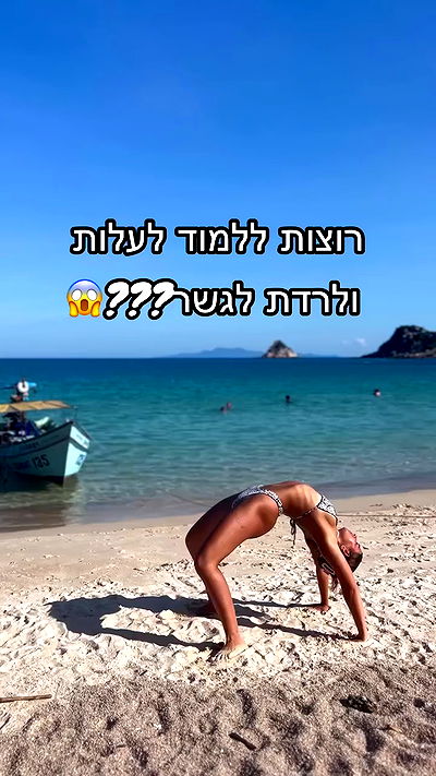 liad.arazi liad.arazi archive video