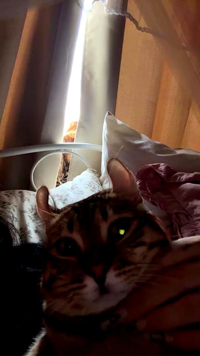 laurinchhhe laurinchhhe archive video