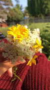 bristalll Altpins Profile Picture