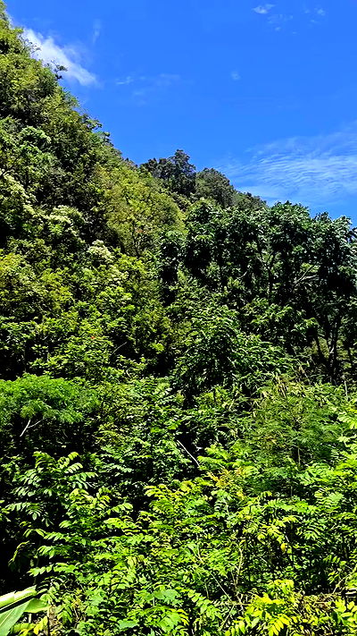 lilith.hecate lilith.hecate archive video