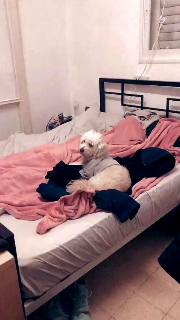 feelbetterinmysweater archive video preview