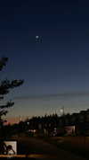 angxl.sky Altpins Profile Picture