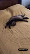 marinush_l Altpins Profile Picture