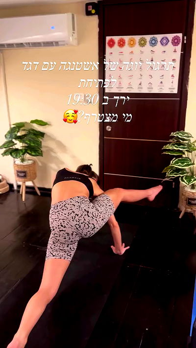 liad.arazi liad.arazi archive video