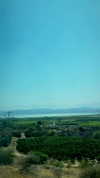 lisssa_sha Altpins Profile Picture