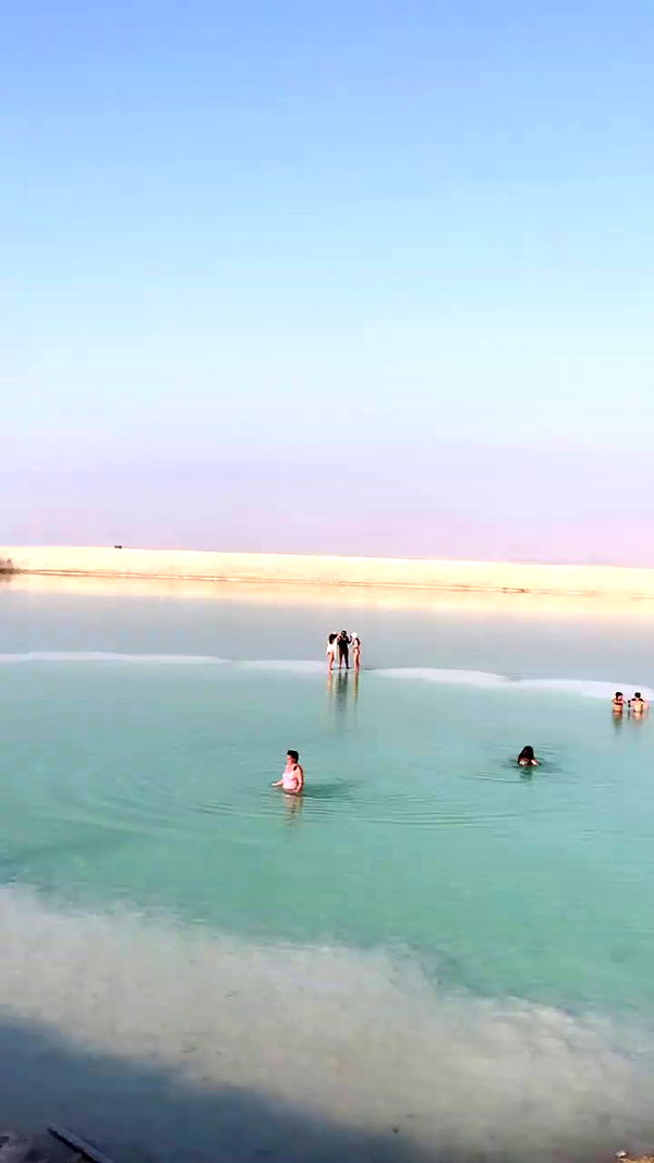 liad.arazi archive video preview