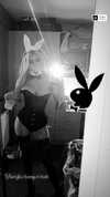 paigee.preston Altpins Profile Picture