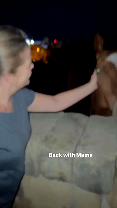 bakedsloths bakedsloths archive video