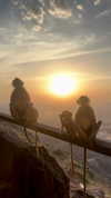 noa_mendel_ Altpins Profile Picture