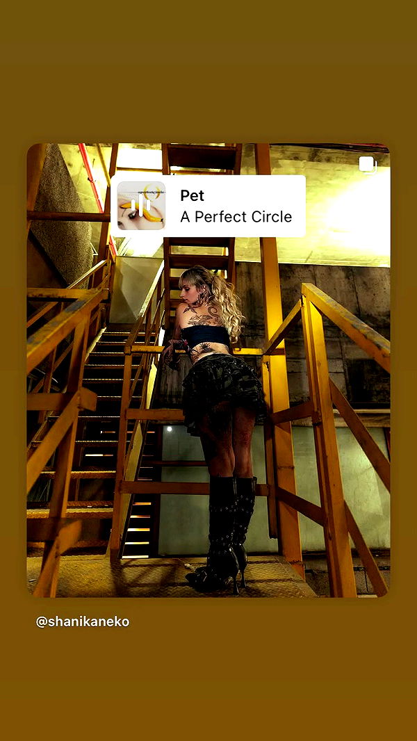 shanikaneko archive video preview