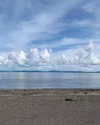 tamar_nk Altpins Profile Picture