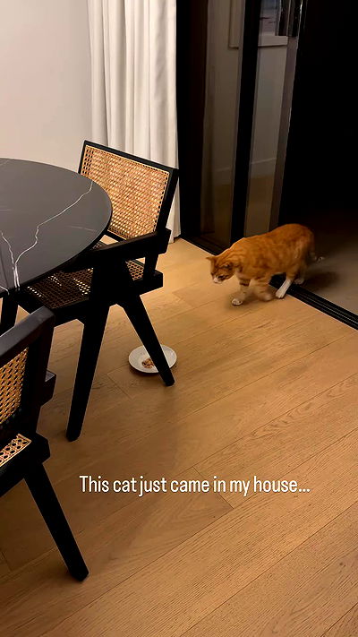 sophiemudd sophiemudd archive video