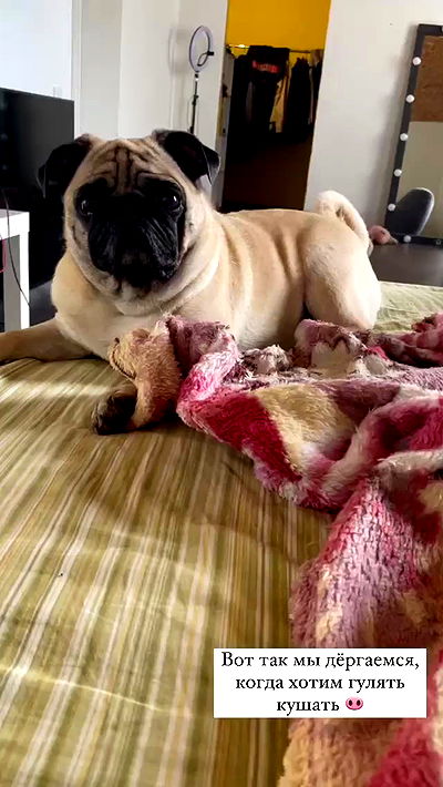 nyityam nyityam archive video