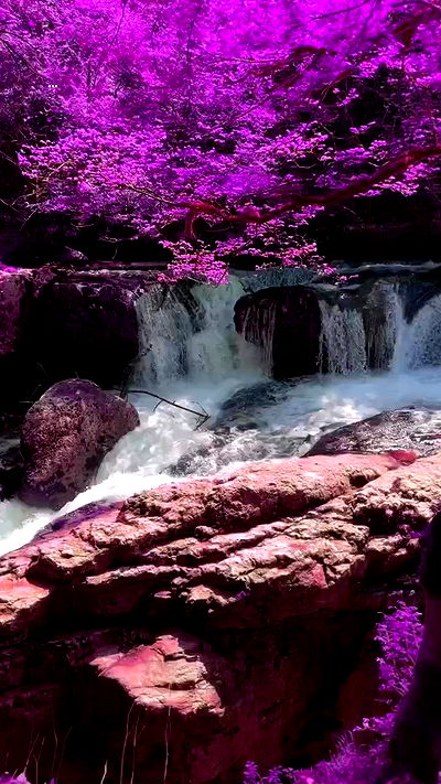 annfigma annfigma archive video