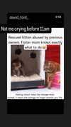 _koolkat__ Altpins Profile Picture