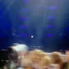 beyonce Altpins Profile Picture